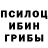 Галлюциногенные грибы мицелий Joel Hathaway