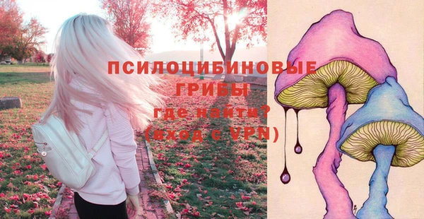 ешки Белокуриха
