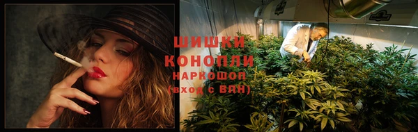 ешки Белокуриха
